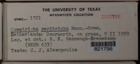 Image Associated With the Occurence